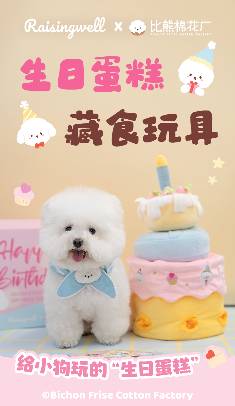 Classic Series Birthday Cake Puzzle Toy