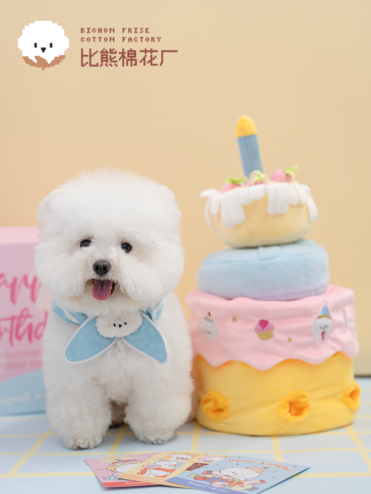 Classic Series Birthday Cake Puzzle Toy