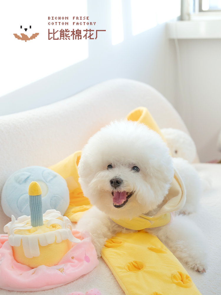 Classic Series Birthday Cake Puzzle Toy