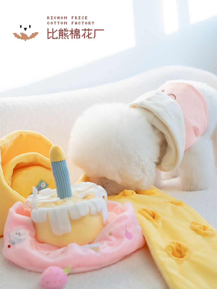 Classic Series Birthday Cake Puzzle Toy