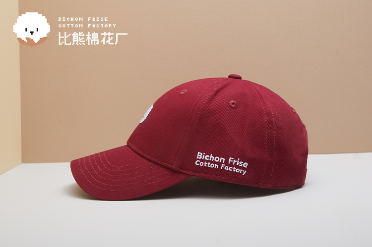 Classic Series Baseball Cap