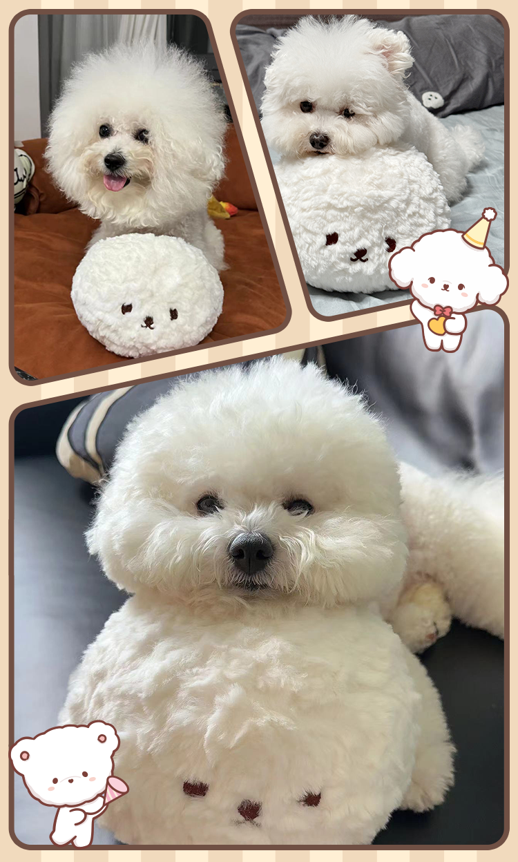 Classic Series Bichon Head Plush Toy