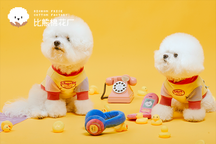 Dopamine Series Pets Toy Flip Cell Phone