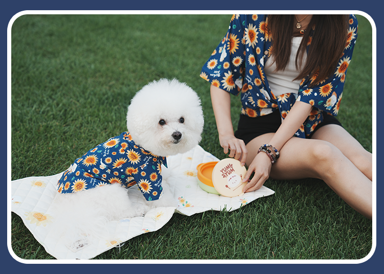 Sunflower Series Human and Dog Matching Outfit Bichon Floral Shirt Pet Cloth